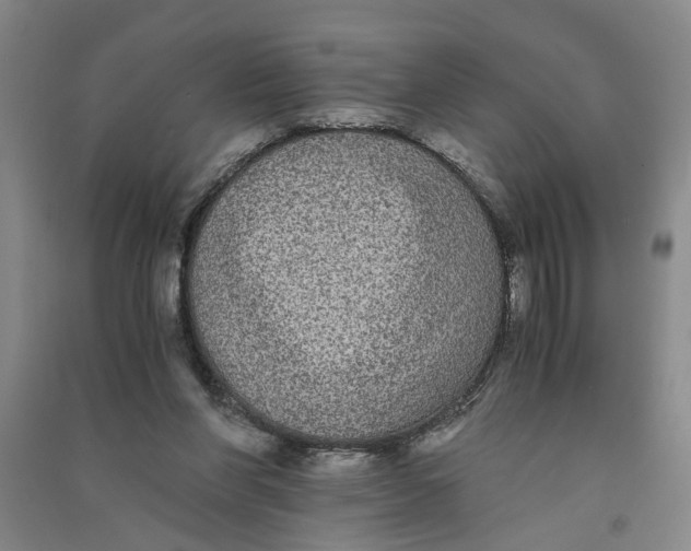 X0000090860206200708171612