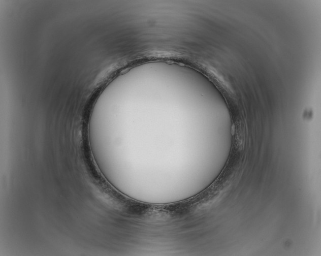 X0000090860207200708171612