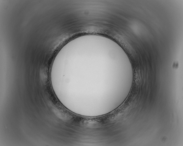 X0000090860208200708171612