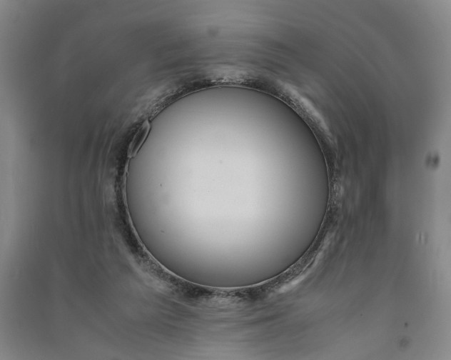 X0000090860209200708171612