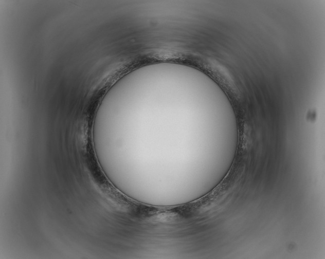 X0000090860210200708171612