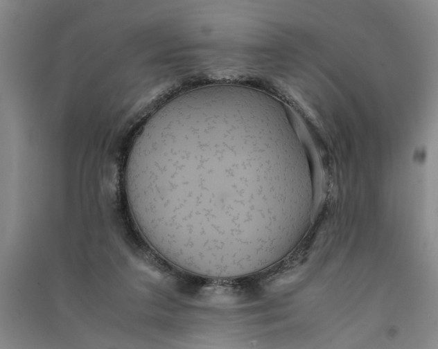 X0000090860211200708171612