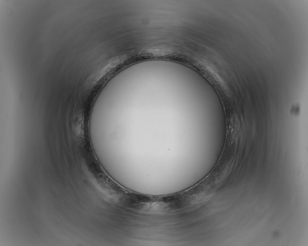 X0000090860212200708171612
