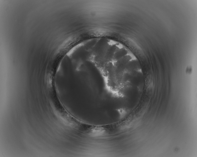 X0000090860214200708171612