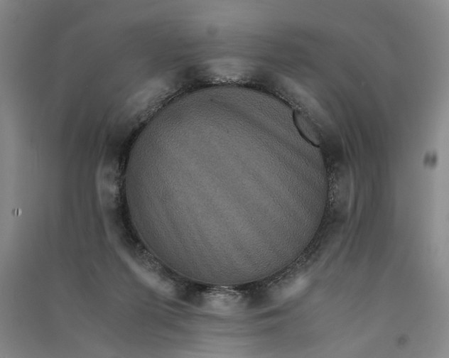 X0000090860215200708171612