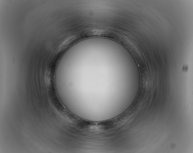 X0000090860216200708171612