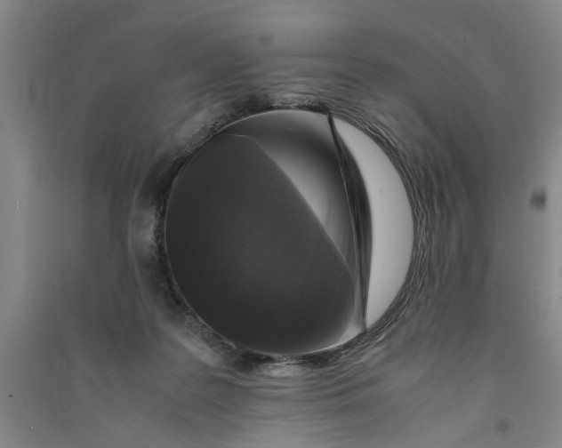 X0000090860219200708171612