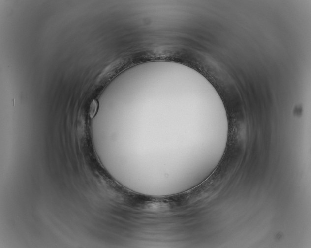X0000090860220200708171612