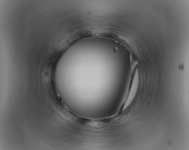 X0000090860221200708171612
