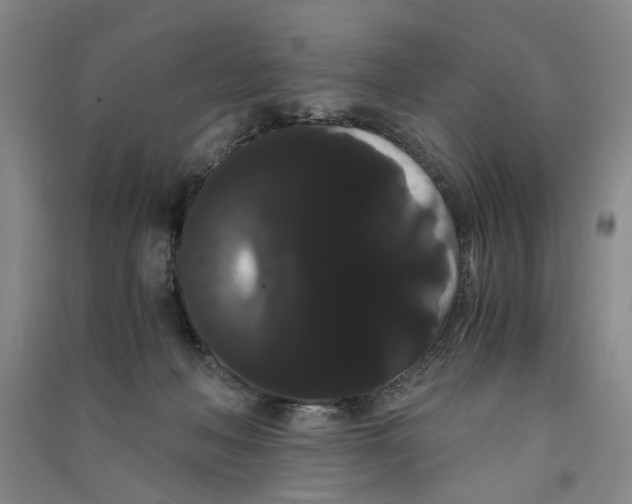X0000090860222200708171612