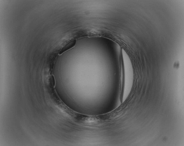 X0000090860223200708171611