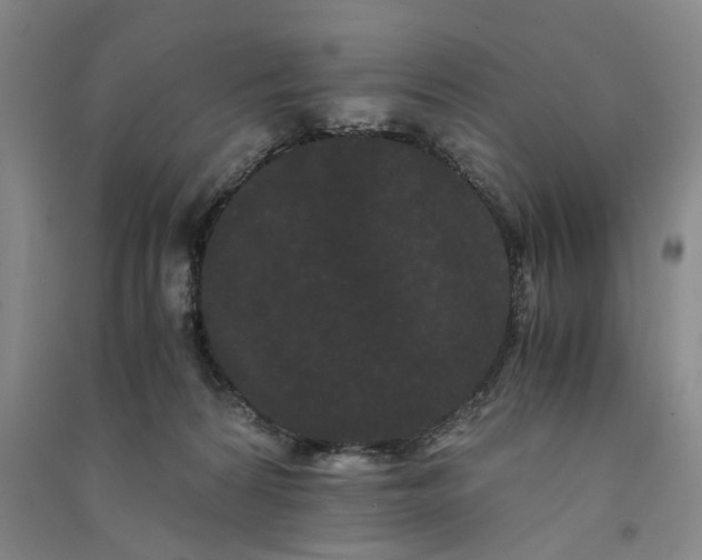X0000090860224200708171611