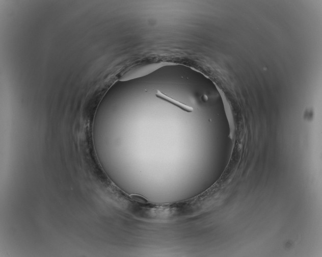 X0000090860225200708171611