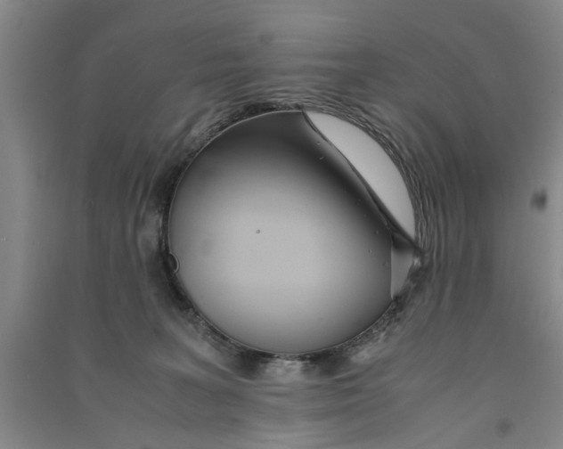 X0000090860227200708171611