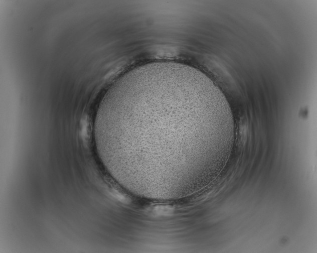 X0000090860228200708171611