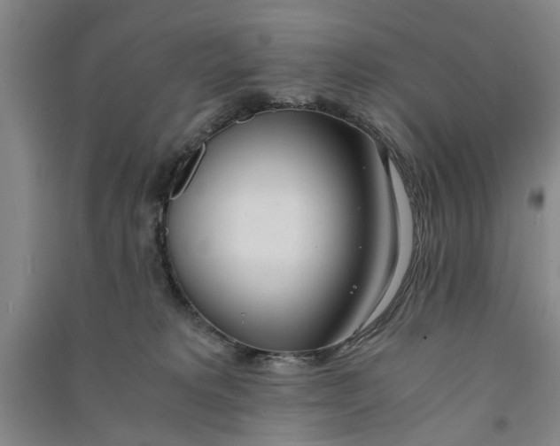 X0000090860229200708171611