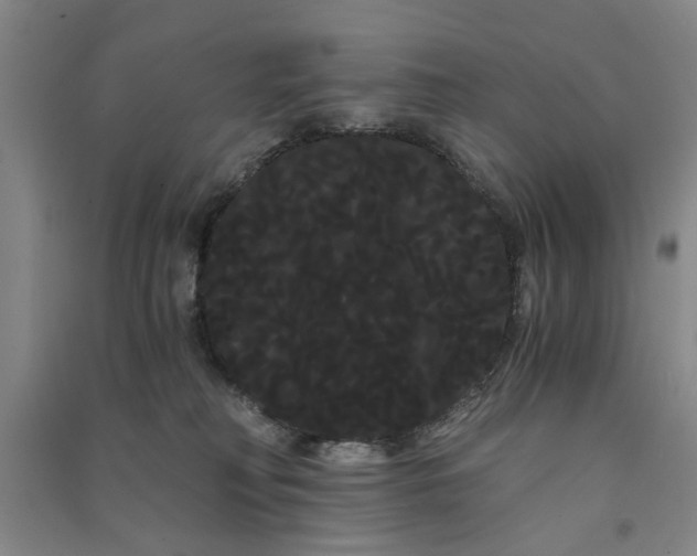 X0000090860230200708171611