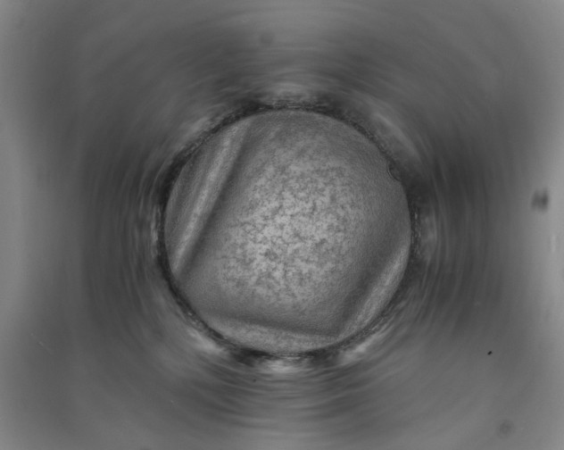 X0000090860232200708171611