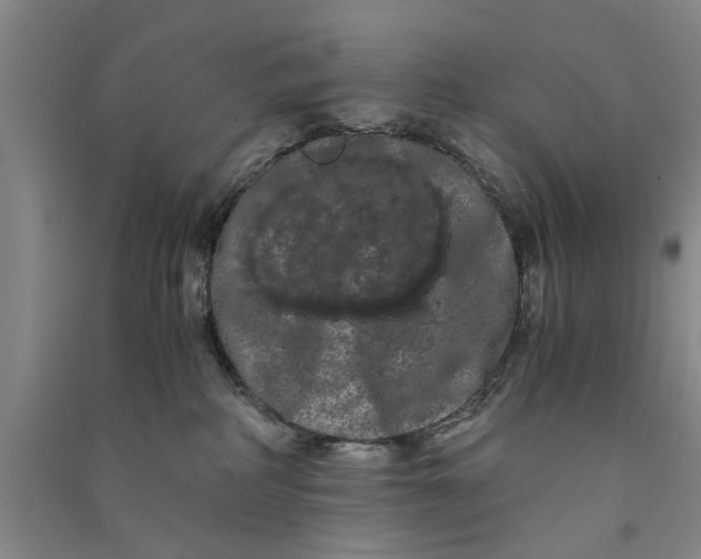 X0000090860234200708171611
