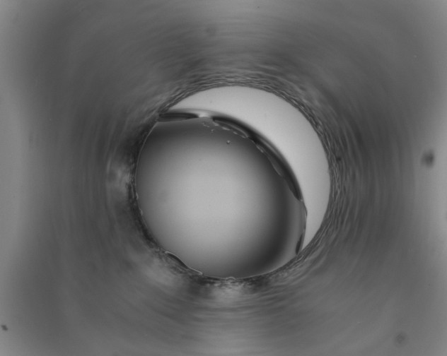 X0000090860235200708171611