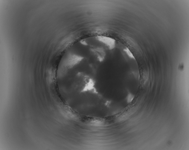 X0000090860236200708171611