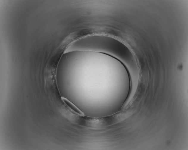 X0000090860237200708171611