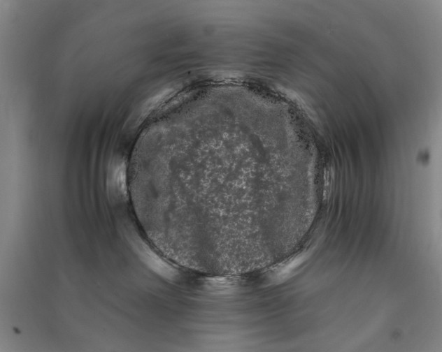 X0000090860238200708171611