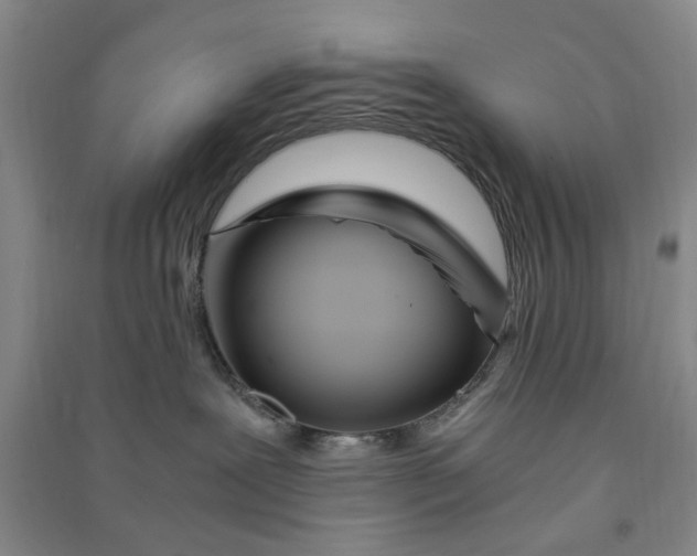 X0000090860239200708171611