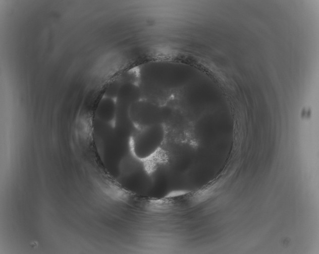 X0000090860240200708171611
