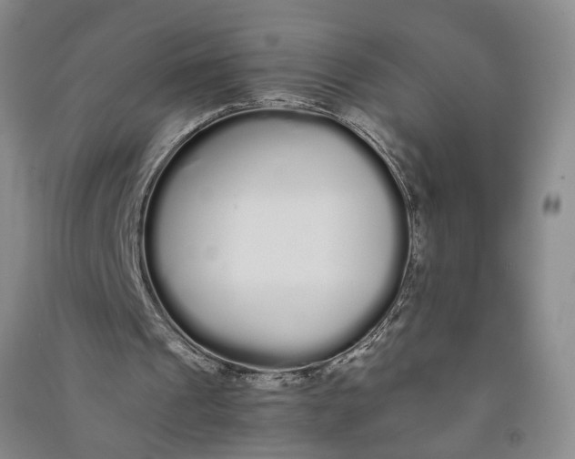 X0000090860241200708171611