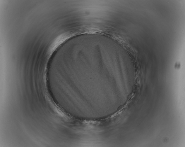 X0000090860242200708171611