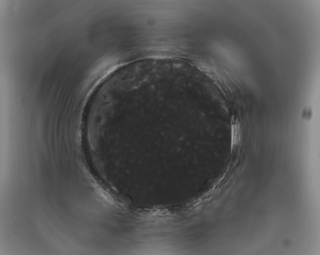 X0000090860243200708171611