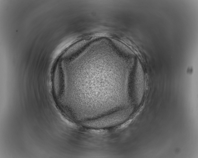X0000090860245200708171611
