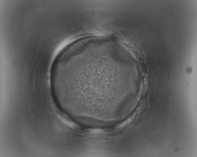 X0000090860246200708171611