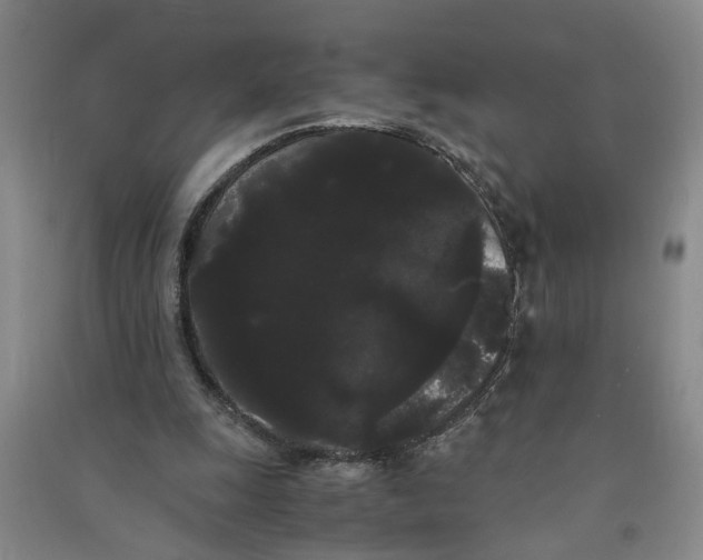X0000090860247200708171611