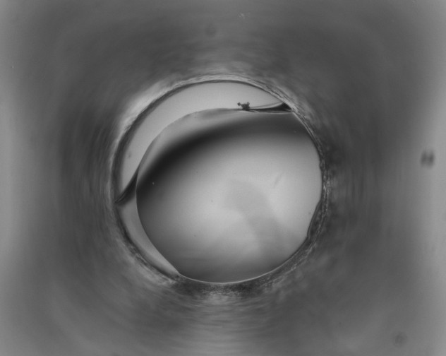 X0000090860248200708171611