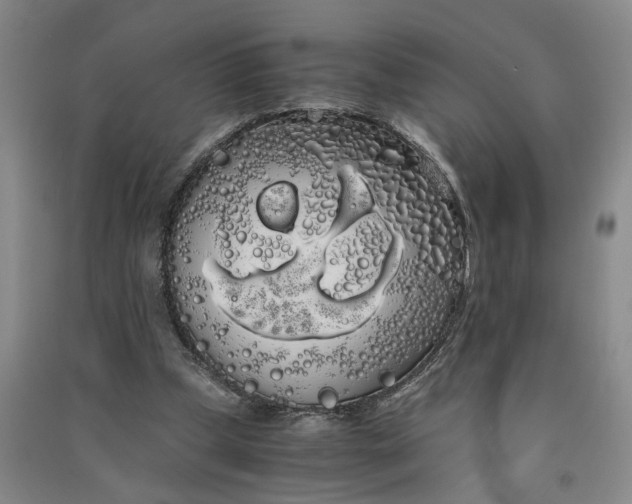 X0000090860249200708171611