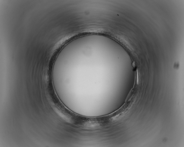 X0000090860252200708171611