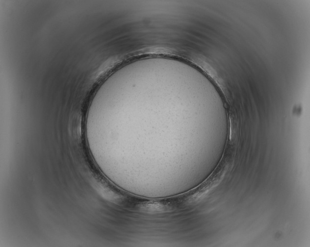 X0000090860253200708171611
