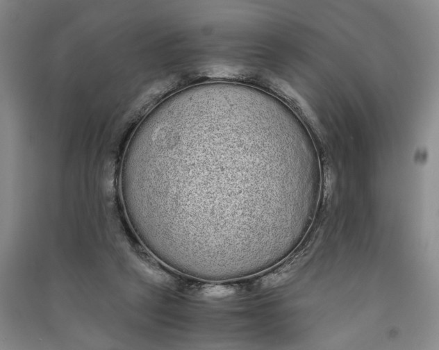 X0000090860257200708171611