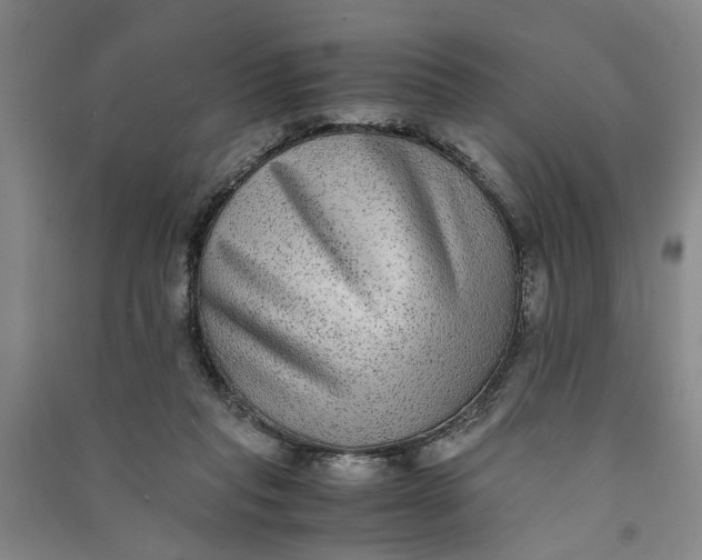 X0000090860261200708171611