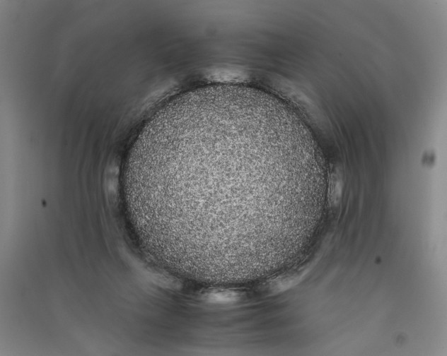 X0000090860263200708171611