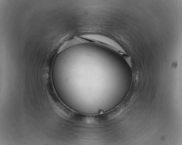 X0000090860264200708171611