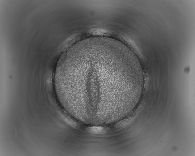 X0000090860265200708171611