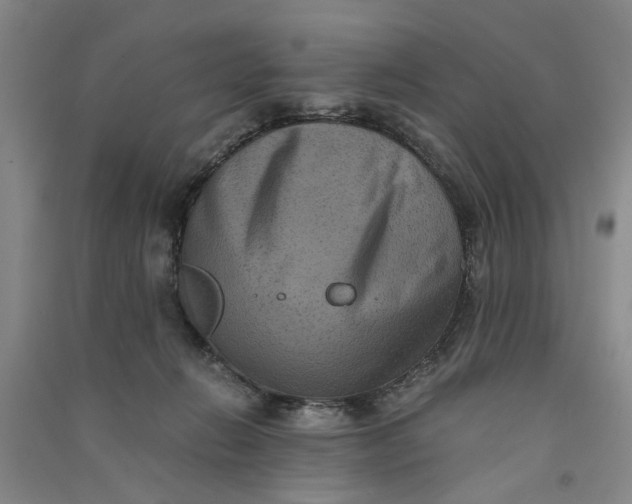 X0000090860270200708171611