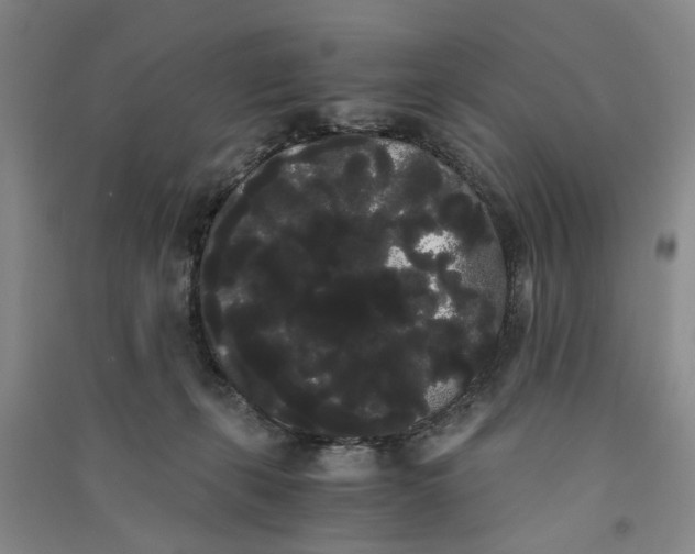 X0000090860271200708171611