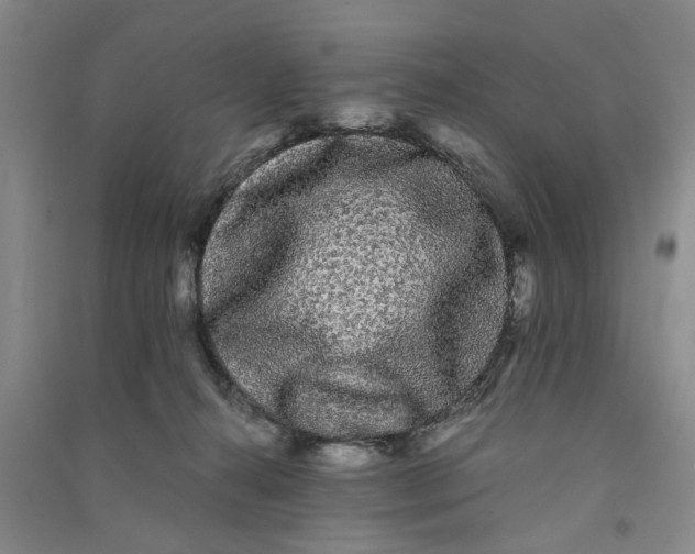 X0000090860272200708171611