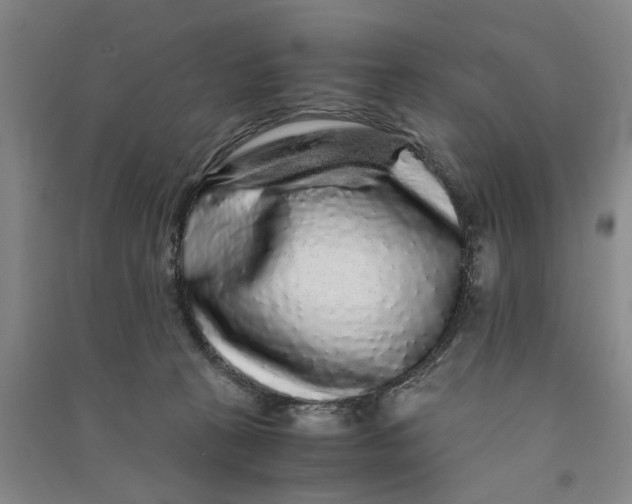 X0000090860273200708171611