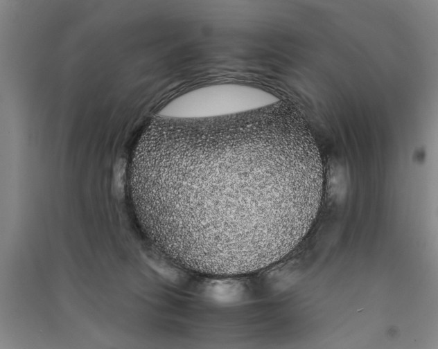 X0000090860275200708171611