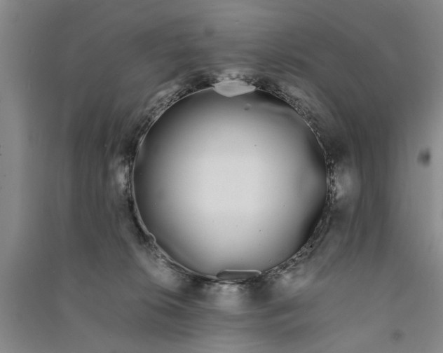 X0000090860276200708171611